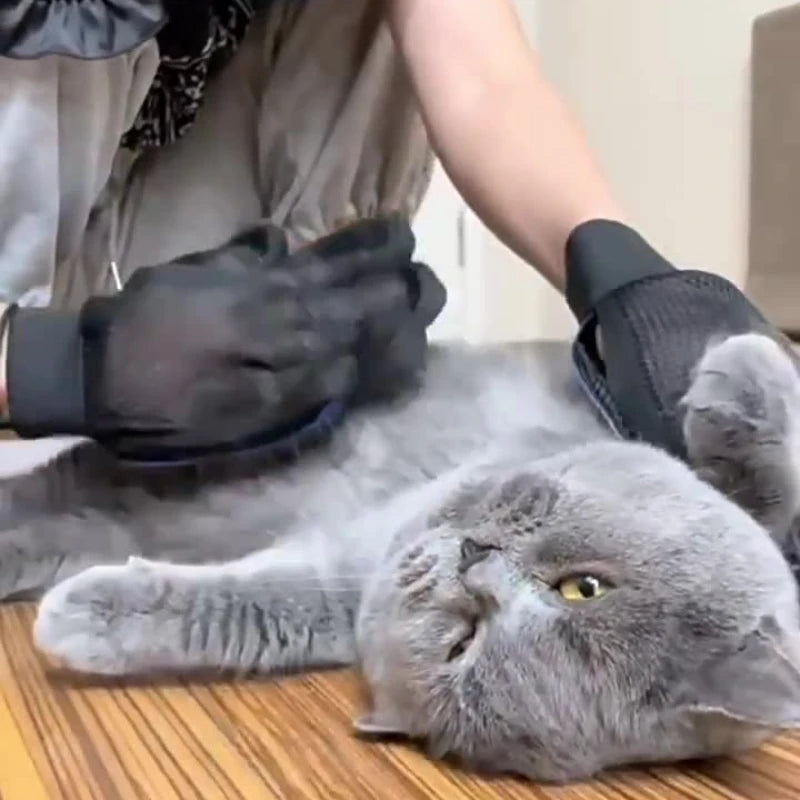 Pet Hair Removal Glove — Dogs & Cats